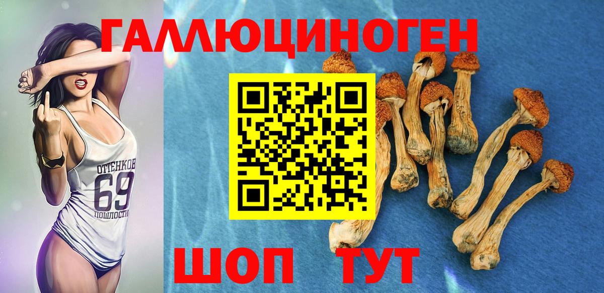 Галлюциногенные грибы Cubensis  Вход с VPN  Гурьевск 